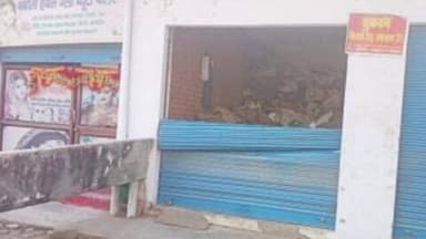 पूर्णागिरि: नायकगोठ गांव में हाथी का आतंक, दुकान का शटर तोड़ा और गेहूं की फसल को तबाह किया