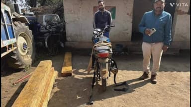 माडा: माड़ा वन परिक्षेत्र में अवैध लकड़ी तस्करी पर कार्रवाई, मोटरसाइकिल सहित हल्दू के पटरे जब्त