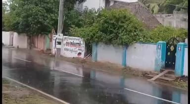 நாகப்பட்டினம்: மாவட்டத்தின் பல்வேறு இடங்களில் காலை முதல் பரவலாக மழை கடல் கடன் சீற்றம் காரணமாக மீனவர்கள் மீன் பிடிக்க கடலுக்கு செல்லவில்லை