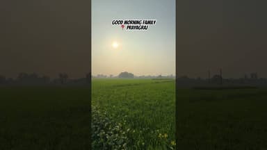 Prayagraj Morning Vibes♥️ #ytshorts #morning #prayagraj