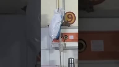 गोण्डा सदर अस्पताल जहां चूहे लगाते हैं ग्लूकोज# अस्पताल #मरीज#चूहा#गोण्डा#सरकार#योगी जी