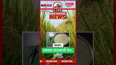 नॅचरल टॉनिक...उकड्या तांदळाची पेज....आता औषधे विसरा...दीर्घायुष्याचे रहस्य...फक्त पेज...