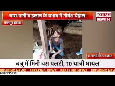 कानपुर देहात की नीनाया गौशाला में लापरवाही#bharatnews24x7 @Bharattnews24
