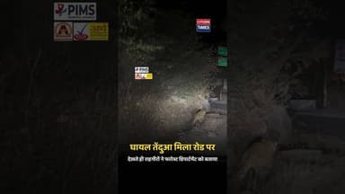 #citizentimes #udaipurnews #citizennews #udaipurlive #citizentimesnews #rajasthannews