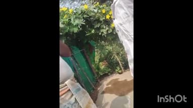 राघोगढ़: महु ग्राम पंचायत सचिव ₹5000 रिश्वत लेते हुए वीडियो में वायरल, जिला पंचायत सीईओ ने किया निलंबित