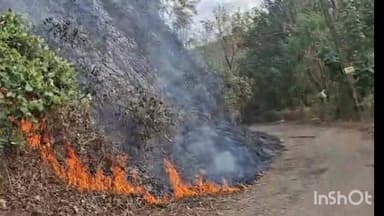 താമരശ്ശേരി: താമരശ്ശേരി ചുരം ഒന്നാം വളവിന് താഴെ തോട്ടത്തിൽ തീപിടുത്തം