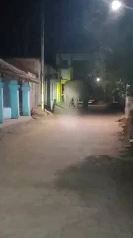 ଚମ୍ପୁଆ: ଅଧ ରାତିରେ ବାଙ୍କିଆ ଗାଁ ରେ ଗୋଠଛଡା ଦନ୍ତା ର ଉପଦ୍ରବ