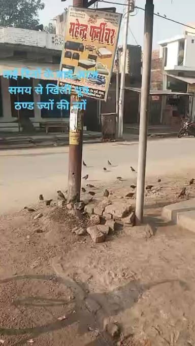 गोरखपुर: कैम्पियरगंज के मछलीगांव मुख्य बाजार का नजारा
Public maharajganj #News #BREAKING #BigBreaking #liveshow