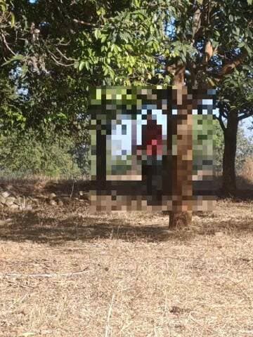 कोलेबिरा: कोलेबिरा नवाटोली में पेड़ से लटका मिला युवक का शव