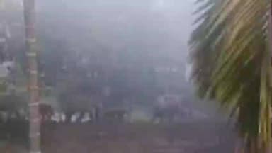 মাথাভাঙা ২: বালাসুন্দর এলাকায় লোকালয়ে হাতির দলের তাণ্ডবে চাঞ্চল্য, ঘটনাস্থলে বন দপ্তরের আধিকারিক ও কর্মীরা