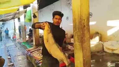 ঢেকিয়াজুলি ভাগ: আজি ভোগালীৰ উৰুকা,ঢেকীয়াজুলিৰ মাছৰ বজাৰত অজস্ৰ গ্ৰাহকৰ ভিৰ