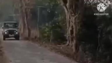 বোকাখাত: গুৱাহাটী উচ্চ ন্যায়ালয়ৰ নিৰ্দেশনাক সন্মান জনাই উৰুকাত কাজিৰঙাৰ বিল-জলাশয়ত সমূহীয়া মৎস্য চিকাৰৰ পৰা বিৰত থাকিল ৰাইজ