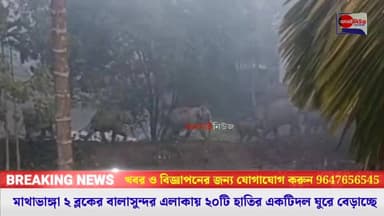#মাথাভাঙ্গা ২ ব্লকের বালাসুন্দর এলাকায় ২০টি হাতির একটিদল ঘুরে বেড়াচ্ছে
