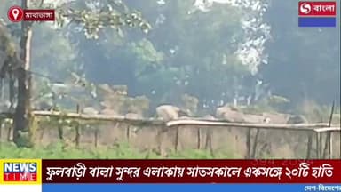মাথাভাঙ্গা ২ ব্লকের ফুলবাড়ী বালা সুন্দর এলাকায় সাতসকালে একসঙ্গে ২০টি হাতি, আতঙ্কে এলাকাবাসী।