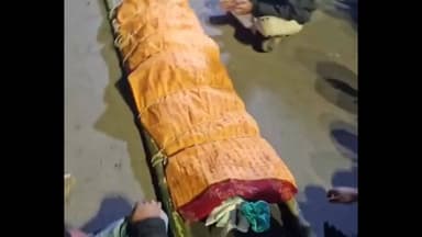 पटना में छात्रा की संदिग्ध मौत पर बवाल, पीएमसीएच पोस्टमार्टम के दौरान स्वजनों का हंगामा,
#BiharNews #viralposts #trandi...