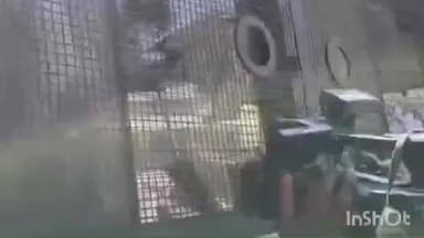 തിരുവല്ല: രാഹുൽ മാങ്കൂട്ടത്തിൽ MLA യെ 3 ദിവസത്തേക്ക് SIT കസ്റ്റഡിയിൽ വിട്ട് കോടതി