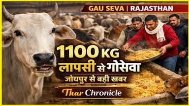 जोधपुर में गौसेवा की मिसाल | 1100 किलो लापसी गौमाताओं को अर्पित
#gausevak🙏🏻🕉️🙏 #jodhpurnews #rajasthannews #cowprotec...