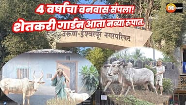 निवडणूक संपली, विकास सुरू! प्रचारातील आश्वासन पूर्ण नगराध्यक्षांचा स्वच्छतेचा 'मास्टरस्ट्रोक.