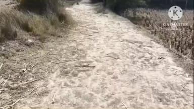 কুলপি: লক্ষীপুর কাপাসবেরিয়া বেহাল রাস্তা ক্ষোভ প্রকাশ করেছে গ্রামবাসীরা