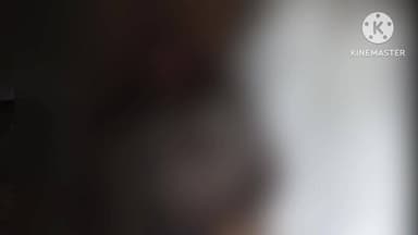 सोनाहातु: सोनाहातू में दो अलग-अलग सड़क दुर्घटनाओं में दो लोगों की मौत