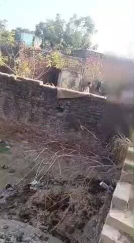 सवायजपुर: बैजूपुर में न्यूड होकर महिलाओं को प्राइवेट पार्ट दिखाने का वीडियो वायरल, 3 पर दर्ज हुआ मुकदमा