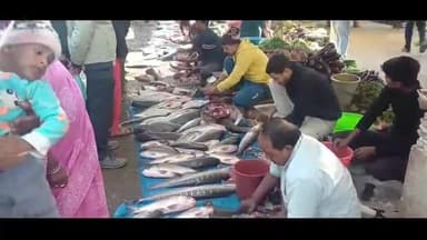 হোজাই: ৰাজ্যৰ বিভিন্ন প্ৰান্তৰ লগতে হোজাই নতুন বজাৰ স্থিত মাছ বজাৰত বিভিন্ন বিধৰ মাছ উপলব্ধ হৈছে