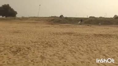 दाउदनगर: दाउदनगर के सोन नदी काली घाट पर मकर संक्रांति महोत्सव की तैयारी पूरी, जिला प्रशासन व कला संस्कृति विभाग कर रहा आयोजन