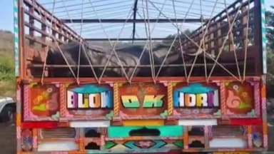 ભિલોડા: અરવલ્લીમાં પશુ હેરાફેરી સામે શામળાજી પોલીસની મોટી કાર્યવાહી: કતલના ઇરાદે લઈ જવાતી 16 ભેસો સાથે રૂ. 11.70 લાખનો મુદ્દામાલ