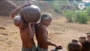 पाली: पाली में खुला पान प्रशिक्षण केंद्र बना सफेद हाथी, जानकारी के अभाव में किसान पुराने ढंग से खेती करने को मजबूर