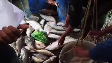 বালিজানা: উৰুকা উপলক্ষে চহৰৰ পাইকাৰী মাছৰ বজাৰত উখল মাখল পৰিৱেশ