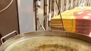 વેજલપુર: ઉત્તરાયણ પૂર્વ AMC દ્વારા 27 સ્થળોએ ચેકિંગ