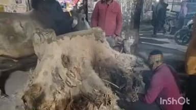 निघासन: निघासन चौराहा पर ठंड से जूझती जनता का मज़ाक उड़ाया जा रहा, जिम्मेदार गर्म कमरों में