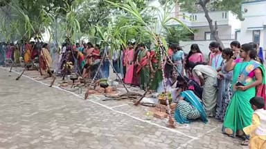 சின்ன சேலம்: சின்னசேலத்தில் உள்ள தனியார் மகளிர் கல்லூரியில் நடைபெற்ற சமத்துவ பொங்கல் விழா கொண்டாட்டத்தில் ஆட்டம் பாட்டம் என கொண்டாடிய மாணவிகள்