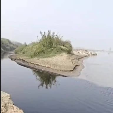 यमुनानगर बड़ी खबर जिले से बहती यमुना: क्रूज के सपने और ज़हर की हकीकत और मौके पर किसान यूनियन प्रदेशध्यक्ष रतन मान।
#Yam...