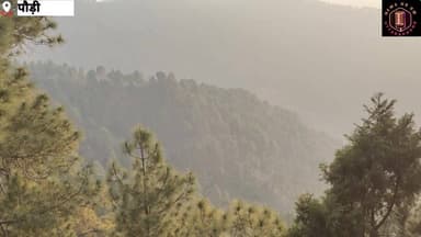 #पौड़ी_टेका मार्ग के घने #जंगल में भय के कारण निकल
रही एक #जीव की #चीख...आप भी सुनिए...
#wildlife
#uttarakhandforest
...