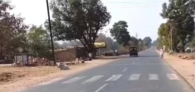 चंदिया: सेदा रोड पर अज्ञात वाहन की टक्कर से मवेशी घायल