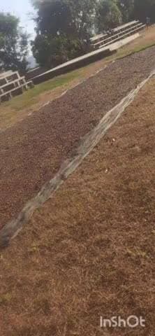 ಮೂಡಿಗೆರೆ: ಸರ್ಕಾರಿ ಶಾಲೆ ಗ್ರೌಂಡ್ನಲ್ಲಿ ಕಾಫಿ ಬೀಜ ಒಣಹಾಕಿದ ಬೆಳೆಗಾರರು.! ಶಿಕ್ಷಕರ ವಿರುದ್ಧ ಸ್ಥಳೀಯರ ಆಕ್ರೋಶ.!