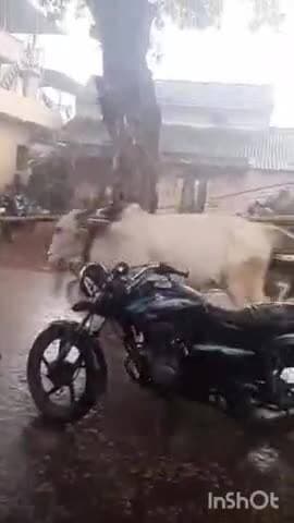 ಕಡೂರು: ಬಯಲು ಸೀಮೆಯಲ್ಲೂ ವರುಣಾರ್ಭಟ.! ಮತಿಘಟ್ಟ ಸುತ್ತಮುತ್ತ ಜನಜೀವನ ಅಸ್ತವ್ಯಸ್ತ.!