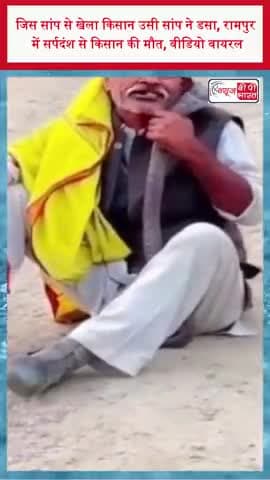 जिस सांप से खेला किसान उसी सांप ने डसा, रामपुर में सर्पदंश से किसान की मौत, वीडियो वायरल
#RampurNews #SnakeBite