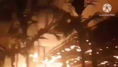 তিতাবৰ: তিতাবৰ বিৰিণাশায়েক ভৰলুৱা গাঁৱত সংঘটিত অগ্নিকাণ্ডত জাহ গল এখন গাহৰি ফাৰ্ম