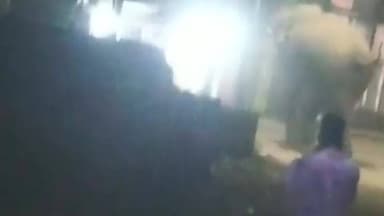 ଧର୍ମଶାଳା: ସୁକିନ୍ଦାଗଡ ରଥ ଦାଣ୍ଡରେ ଜଙ୍ଗଲି ଦନ୍ତା ହାତୀ ଆତଙ୍କ