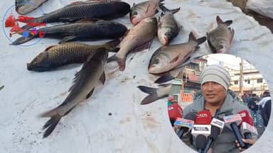 আজি হেঁপাহৰ ভোগালীৰ উৰুকা।মন পছন্দৰ মাছ ক্ৰয় কৰিবলৈ গ্ৰাহকৰ ভিৰ….
#NewsUpdate #আমাৰ_শিৱসাগৰ #sivasagar #bihuspecial #fi...