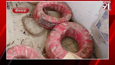 खिड़की तोड़कर स्टोर रूम में घुसे चोर, चौकीदार के शोर मचाने पर कुछ सामान छोड़कर हुए फरार
#newsfeed #News #rajasthan #Rajast...