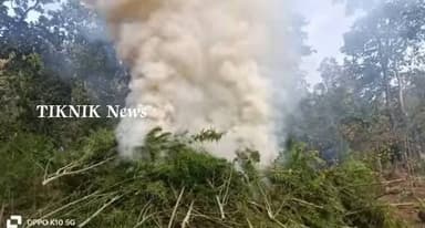 କଣ୍ଟାମାଲ ପୋଲିସ ର ବିଭିନ୍ନ ଜଙ୍ଗଲରୁ ହଜାର ହଜାର ଗଂଜେଇ ଚାଷ ନଷ୍ଟ