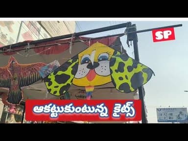 ఆకట్టుకుంటున్న కైట్స్
