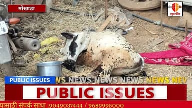 मोखाडा तालुक्यात जनावरांना संसर्गजन्य रोगाची लागण