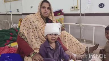 डूंगरपुर: भैंस के बछड़े ने शिशु पर किया हमला, सिर में पहुंची गंभीर चोट