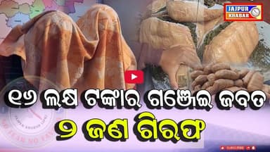 ପିକଅପ ଗାଡ଼ ସହ ବିପୁଳ ପରିମାଣର ଗଞ୍ଜେଇ ଜବତ।