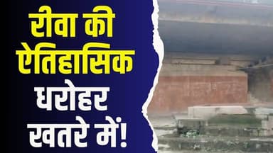 रीवा की ऐतिहासिक धरोहर खतरे में, नशेड़ियों का अड्डा बना झिरिया का हनुमान मंदिर
#vindhyatimes #rewanews #satnanews #shah...