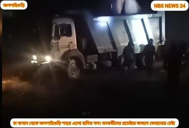 চা বাগান থেকে জলপাইগুড়ি শহরে হাতির দল। বনকর্মীদের প্রচেষ্টায় অবশেষে ফিরল জঙ্গলে।